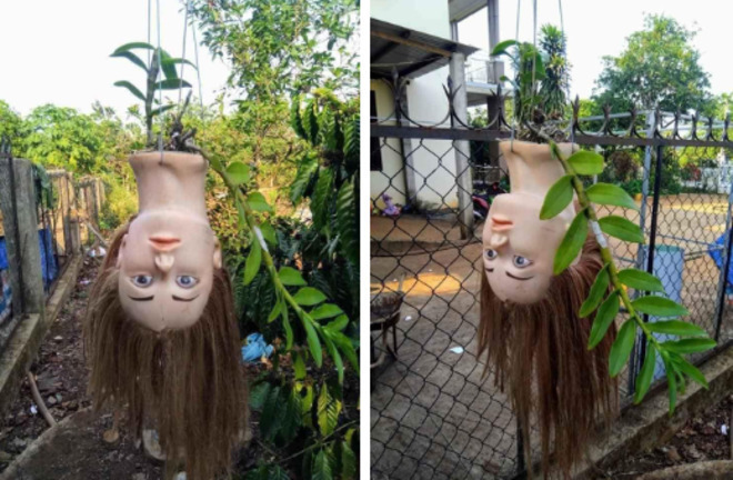 Những màn tái chế đồ để trồng cây đúng chất 'ban ngày độc đáo, ban đêm hú hồn' - 2