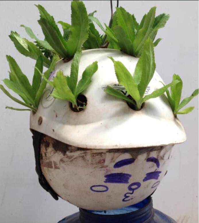 Những màn tái chế đồ để trồng cây đúng chất 'ban ngày độc đáo, ban đêm hú hồn' - 1