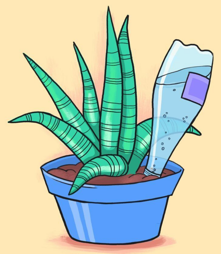 5 cách giúp bạn có thể tưới cây kể cả khi vắng nhà - 2