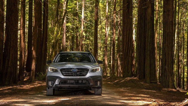 Những mẫu xe gầm cao có thể sắp ra mắt tại Việt Nam - 27