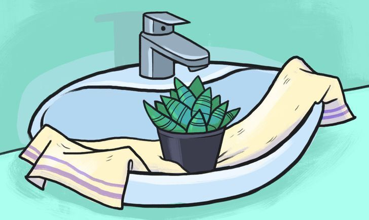 5 cách giúp bạn có thể tưới cây kể cả khi vắng nhà - 3