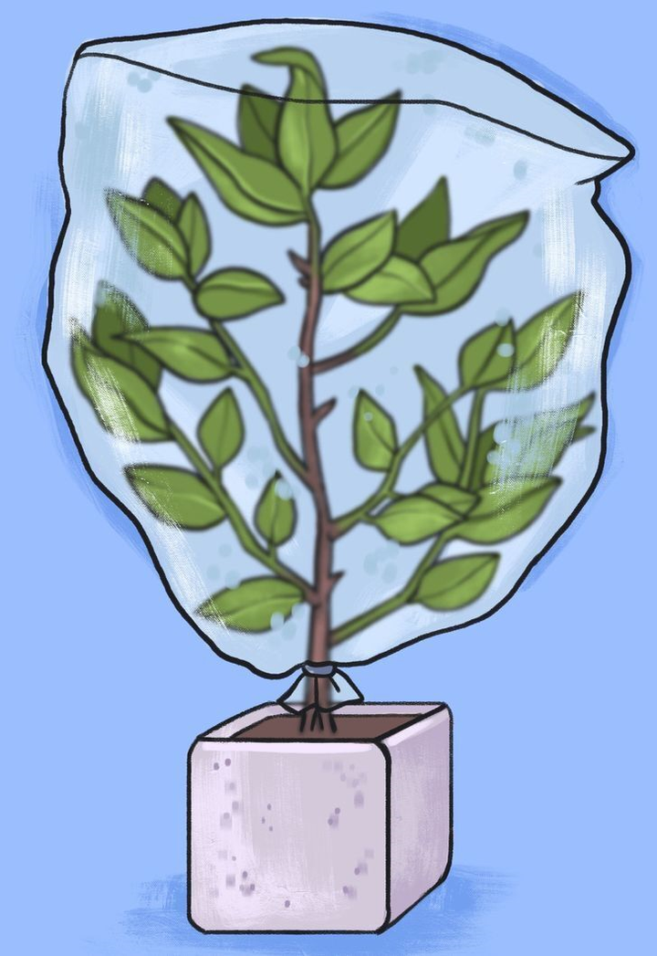 5 cách giúp bạn có thể tưới cây kể cả khi vắng nhà - 5