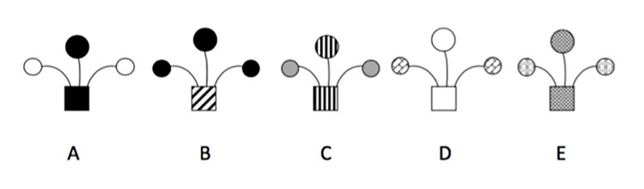 Thử thách IQ: Câu đố tìm hình khác biệt khiến nhiều người phải toát mồ hôi - 1