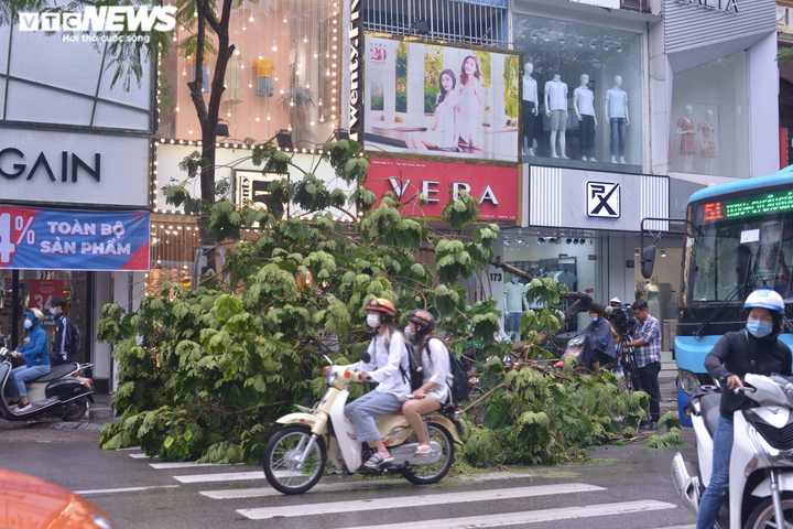 Ảnh: Hà Nội kẹt xe tứ phía, cây đổ ngổn ngang sau trận mưa lớn - 9