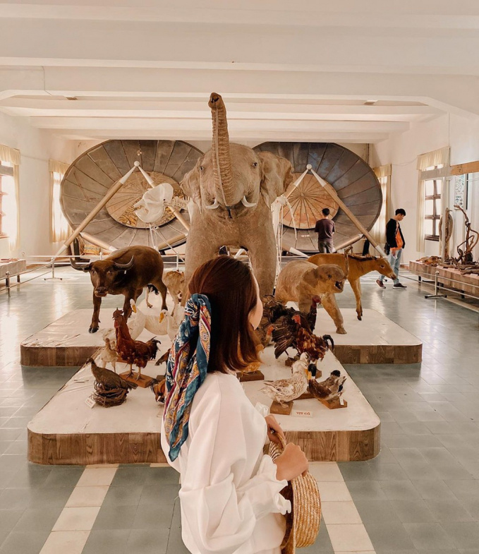 Bật mí 5 điểm 'sống ảo' vắng người ở Đà Lạt, vừa có ảnh đẹp vừa trốn đám đông - 4