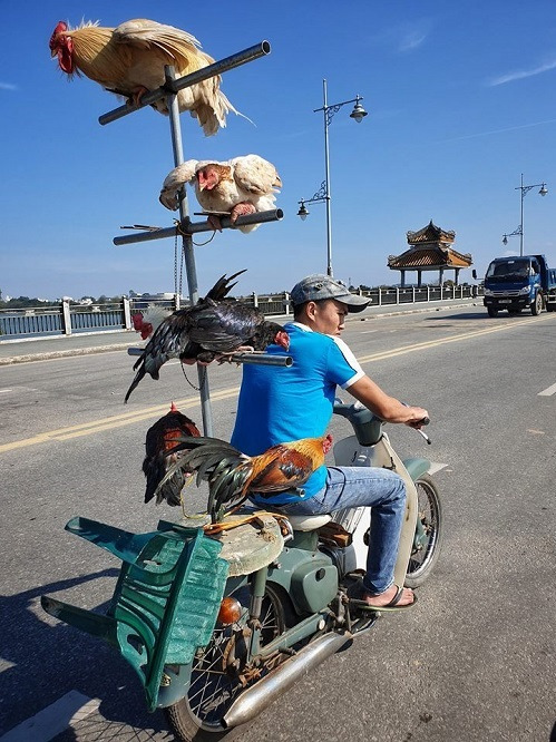 'Nhà tôi 3 đời trị... nhát gan' và loạt ảnh khó đỡ có thể gây nghẹn vì hài - 4