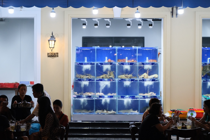 Ăn gì, chơi gì khi 'không ngủ' tại Phú Quốc United Center - 1