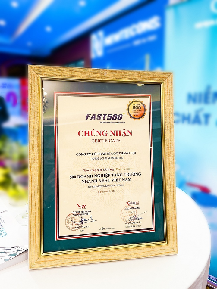 Thắng Lợi Group bứt phá ngoạn mục - 2