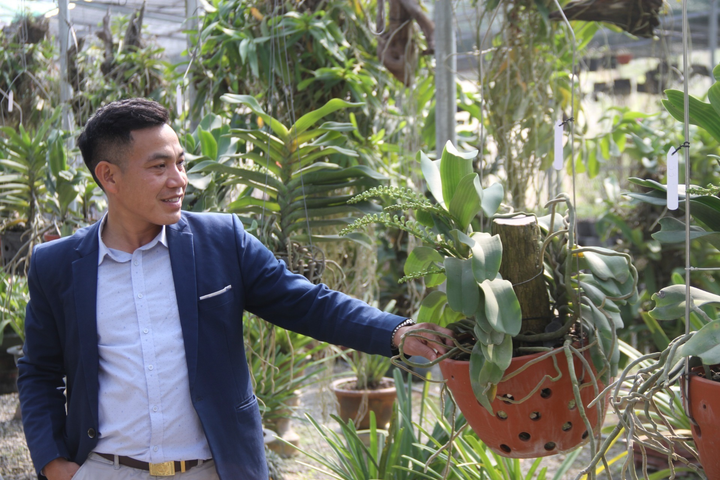 Lá kiểng giá trăm triệu, chuyên gia cảnh báo nguy cơ sốt ảo giống lan đột biến - 5