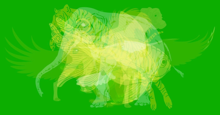 Trắc nghiệm vui đoán tính cách: Con vật bạn nhìn thấy đầu tiên là gì? - 1