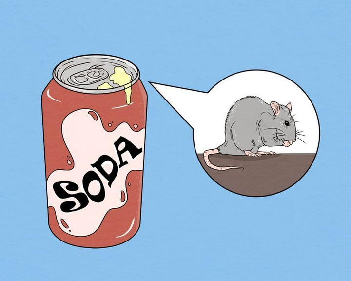 Coi chừng 'nếm' nước thải chuột, côn trùng khi dùng đồ hộp - 1