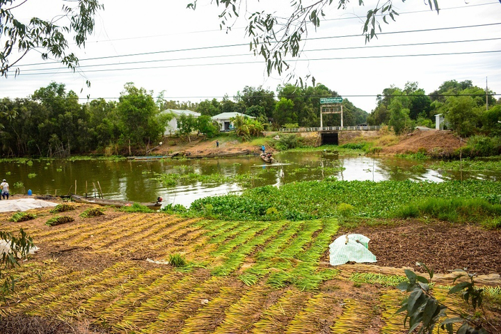 3M cùng WWF-Việt Nam trồng 8.000 cây xanh, cam kết phát triển bền vững - 2