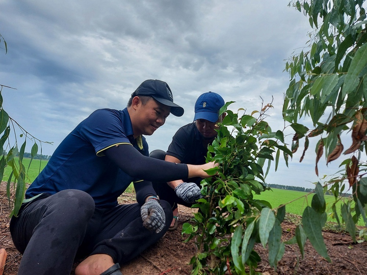 3M cùng WWF-Việt Nam trồng 8.000 cây xanh, cam kết phát triển bền vững - 3