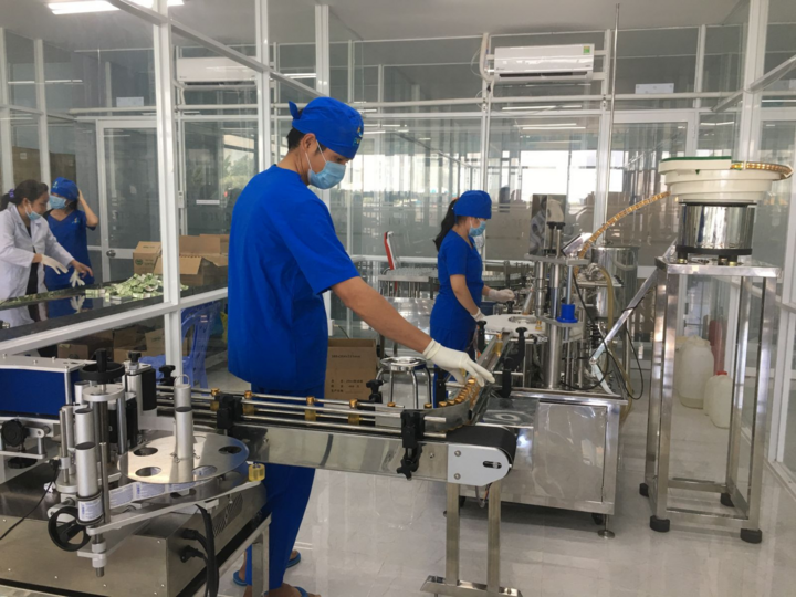 Dầu tràm Con Yêu: Khởi nghiệp bằng những mầm xanh nuôi hy vọng - 3