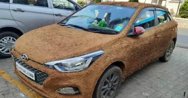 Khó tin ô tô phủ kín phân bò lại được ưa chuộng - 1