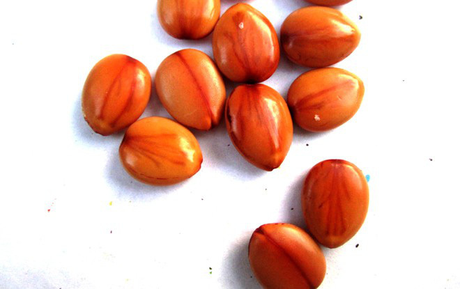 Trái ô môi, hương vị miền Tây mộc mạc gợi nhắc về ký ức tuổi thơ của bao người - 9