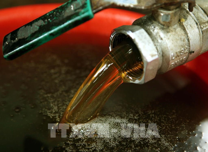 Mật ong Việt Nam nguy cơ bị điều tra chống bán phá giá - 1