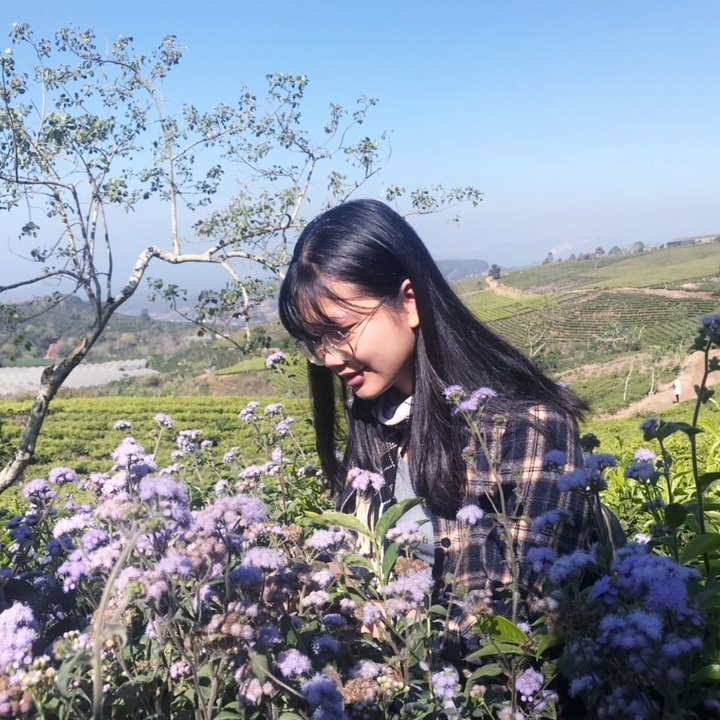 Nữ sinh TP.HCM được hơn 10 đại học Mỹ cấp học bổng - 3