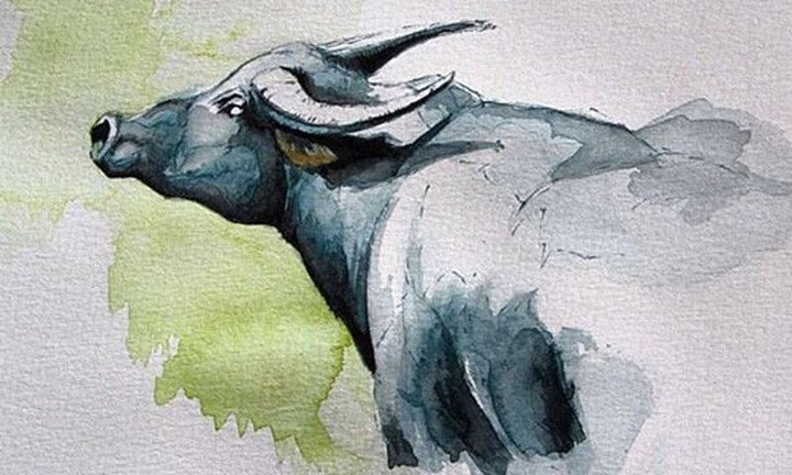 12 con giáp tuần mới 3/5-9/5: Sửu may mắn về tài chính, Ngọ hung tinh xuất hiện - 1