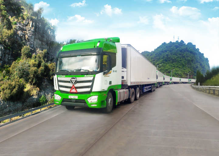 THILOGI góp phần mang nông sản Việt ra thế giới - 5