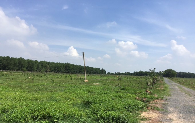 Cụ ông 90 tuổi, 20 năm ôm đơn đi đòi đất ở Đồng Nai: Vì sao mãi không trả? - 2