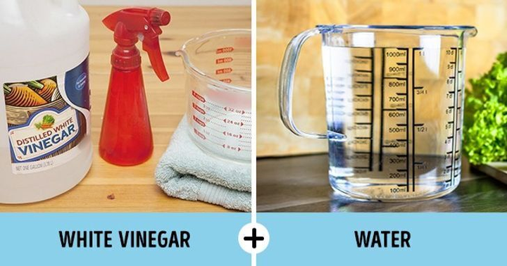 Mẹo tẩy sạch vết ố trên quần áo bằng nguyên liệu tự nhiên - 6