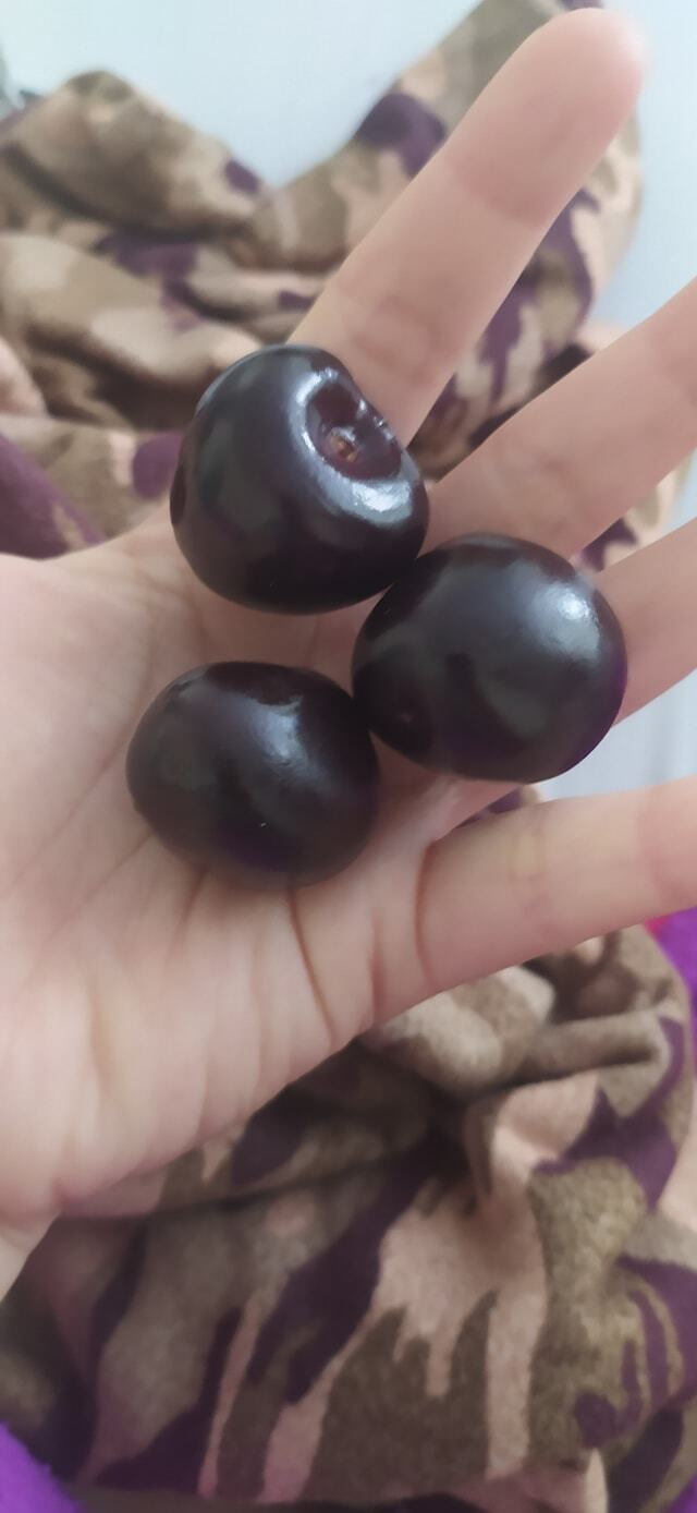 Nằm viện mà bất ngờ gặp ‘đại gia đình’ đến ở cùng, bạn trẻ lưu luyến không nỡ về - 3