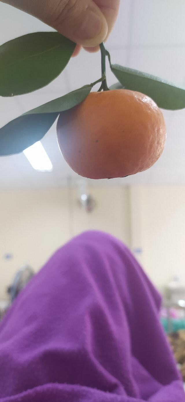 Nằm viện mà bất ngờ gặp ‘đại gia đình’ đến ở cùng, bạn trẻ lưu luyến không nỡ về - 5