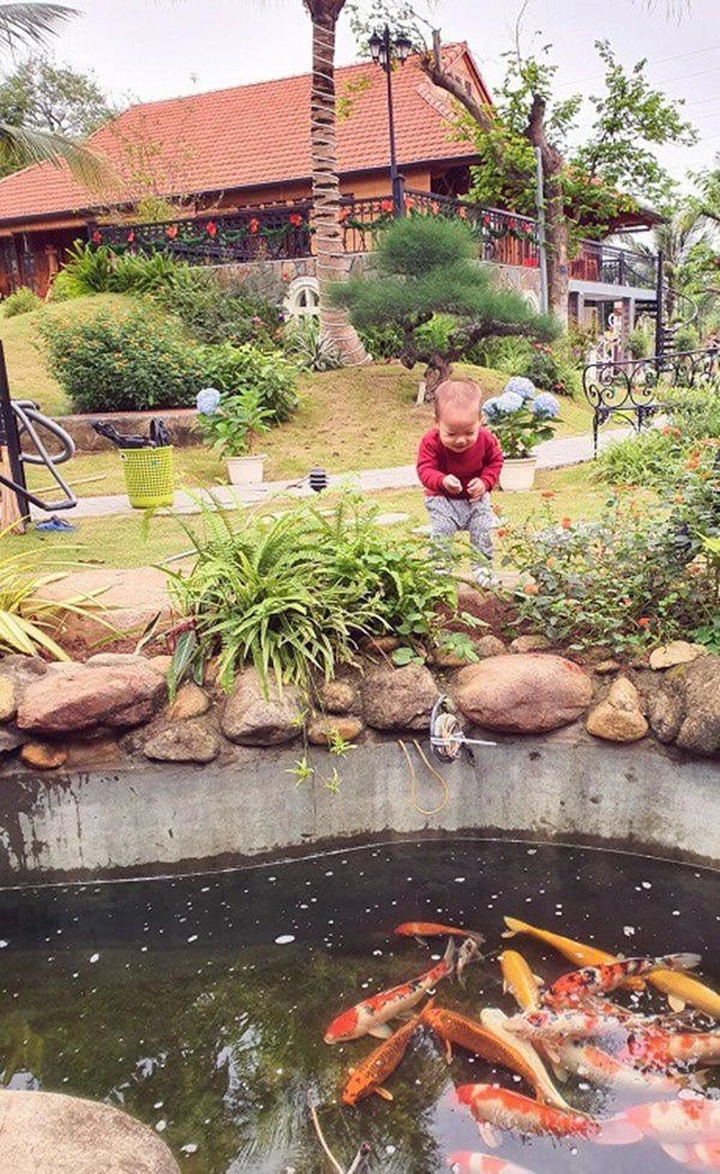 Ngắm biệt phủ bằng gỗ trên khu đất hàng nghìn m2 của Xuân Bắc - 6