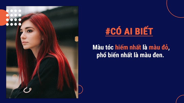 Có ai biết: Tóc của con người có thể nâng được cả một con voi trong sở thú! - 4