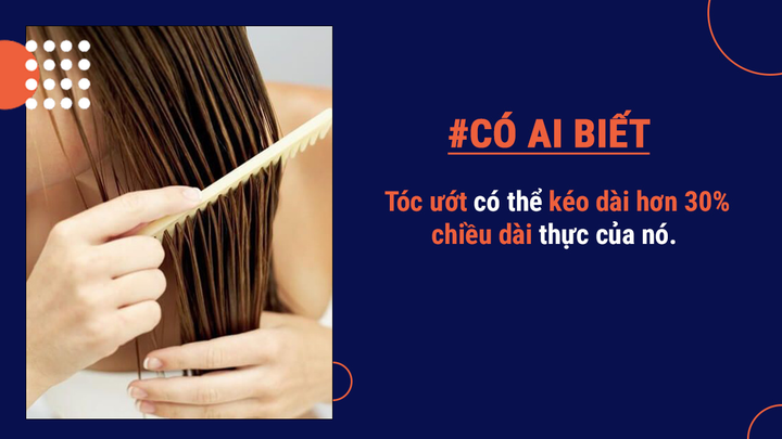 Có ai biết: Tóc của con người có thể nâng được cả một con voi trong sở thú! - 6