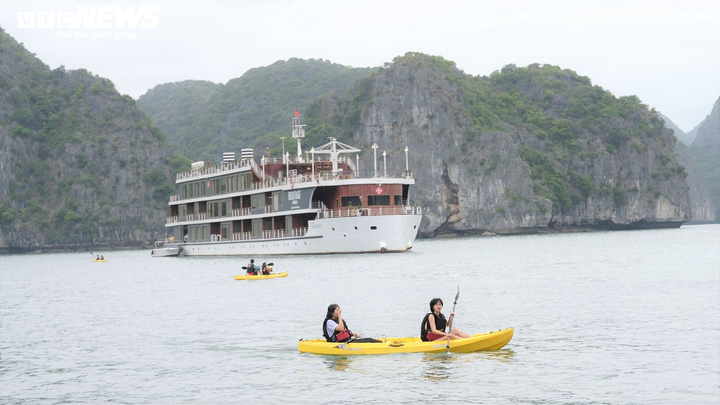 Du thuyền di sản giữa Vịnh Lan Hạ - 4