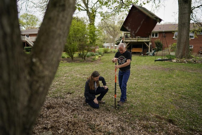 Đàn ve sầu tỷ con sẽ cùng chui lên mặt đất sau 17 năm 'ngủ vùi' - 2