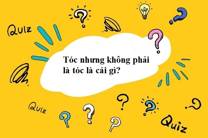 Đố mẹo: Tóc nhưng không phải là tóc là cái gì? - 1