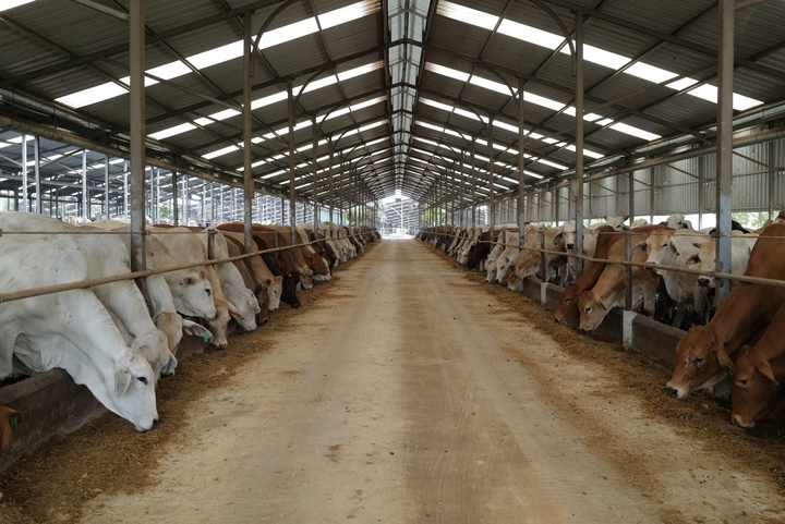 Chủ tịch HĐQT Asanzo: Phân bón hữu cơ là chìa khoá tăng chất lượng nông sản - 2