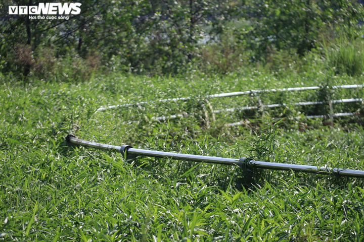 Công trình nâng cấp đô thị hơn 200 tỷ đồng ở Cần Thơ nhếch nhác, đầy rác thải - 3