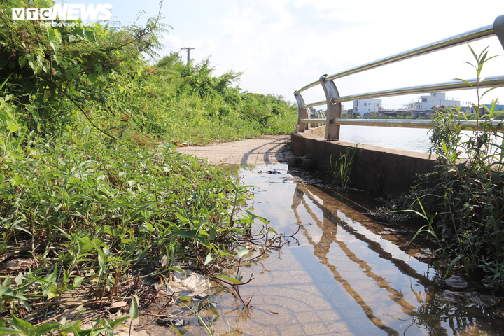 Công trình nâng cấp đô thị hơn 200 tỷ đồng ở Cần Thơ nhếch nhác, đầy rác thải - 13