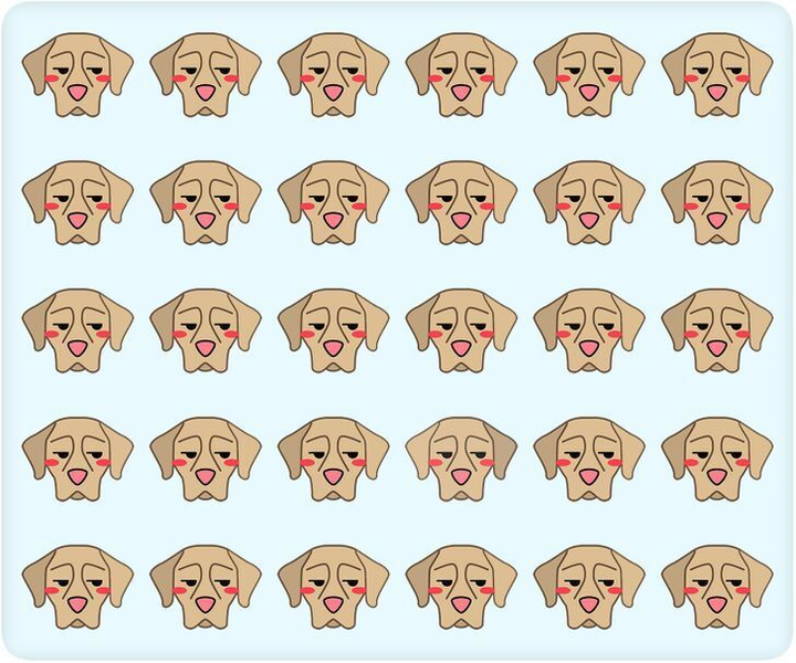 'Thách' bạn tìm ra chú chó khác biệt trong 10 giây - 1