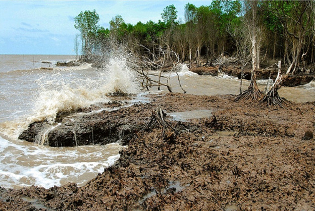 Hành động vì Mekong - 1