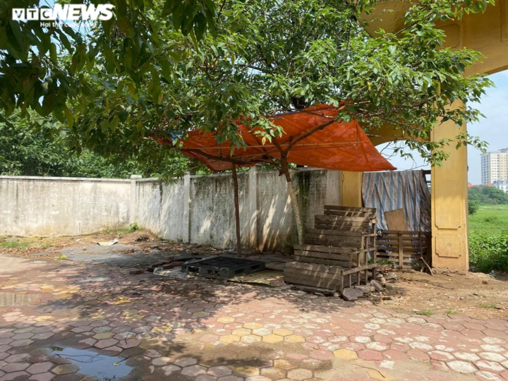 Hà Nội: Nhiều chợ cóc, chợ tạm vẫn hoạt động bất chấp lệnh cấm - 8