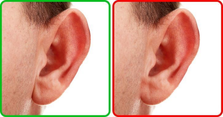 14 đặc điểm cơ thể cho thấy bạn là người thông minh - 6