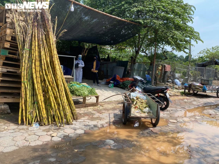 Hà Nội: Nhiều chợ cóc, chợ tạm vẫn hoạt động bất chấp lệnh cấm - 3