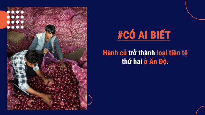 Có ai biết: Hành củ ở Ấn Độ quý chỉ sau tiền, có thể trả phí taxi, làm quà cưới - 5