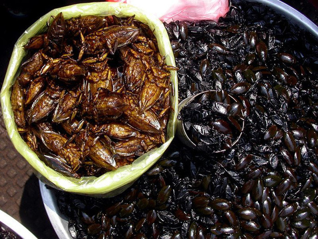 Tuy làm nhiều người khiếp vía nhưng đây lại là món 'chưa ăn chưa tới Ninh Bình’ - 4