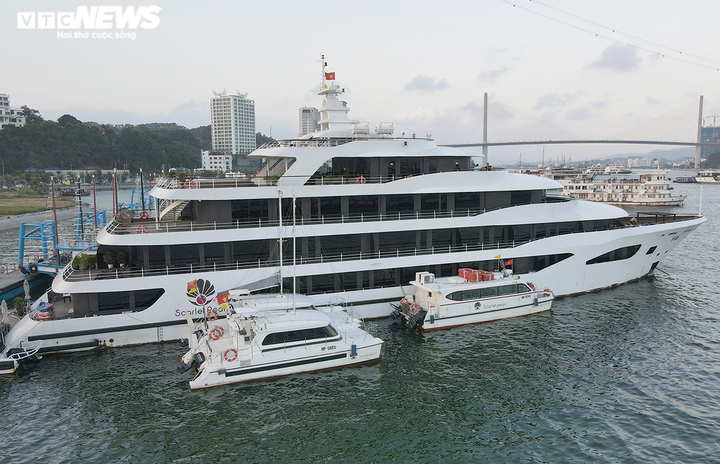 Ảnh: Cận cảnh hơn 500 tàu du lịch nằm 'ngắc ngoải' bên bờ Vịnh Hạ Long - 7