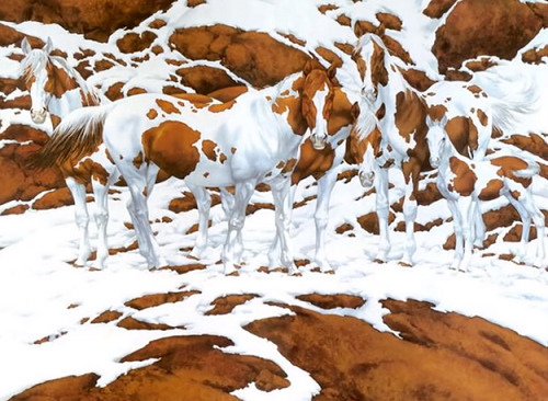 Thử thách tìm số lượng vật thể trong ảnh, nhiều người trả lời sai ở lần đầu - 2