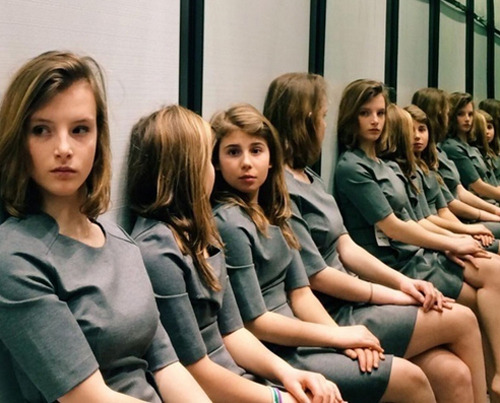 Thử thách tìm số lượng vật thể trong ảnh, nhiều người trả lời sai ở lần đầu - 5