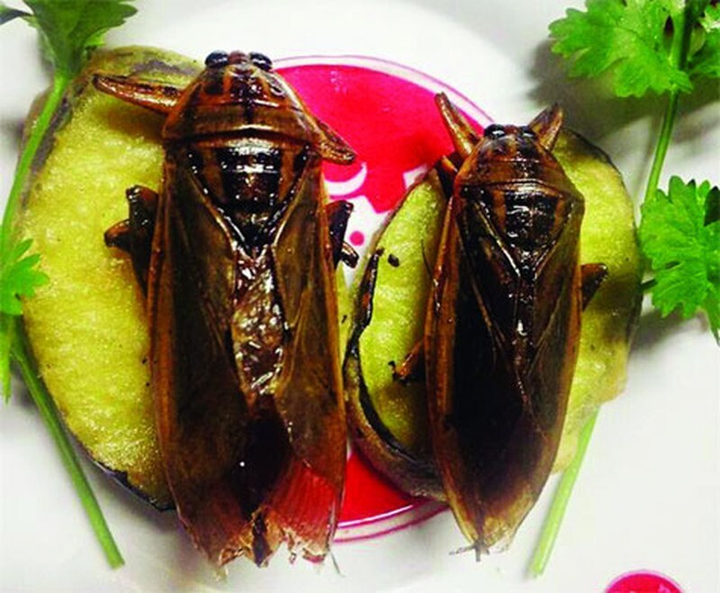 Tuy làm nhiều người khiếp vía nhưng đây lại là món 'chưa ăn chưa tới Ninh Bình’ - 2