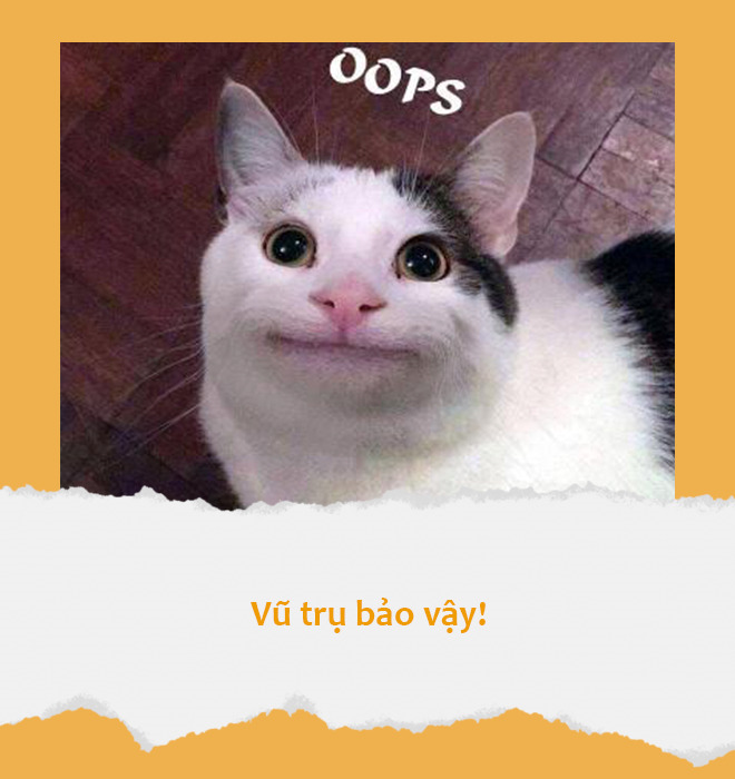 ‘Xoắn não’ với loạt câu cửa miệng của giới trẻ, dân chơi hệ hóng hớt phải biết - 6