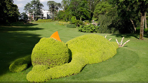 Bắt gặp loạt chú chim khổng lồ 'ngủ gật' ở vườn, con cuối 'nhìn cưng muốn xỉu' - 6